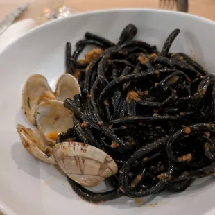 Squid ink bucatini