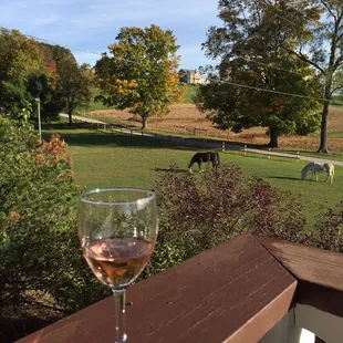 How tranquil is this?!