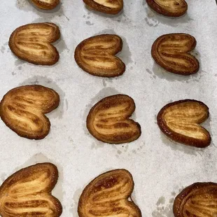 mussels, food, oysters, oysters and mussels, shellfish