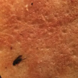 a closeup of the crust