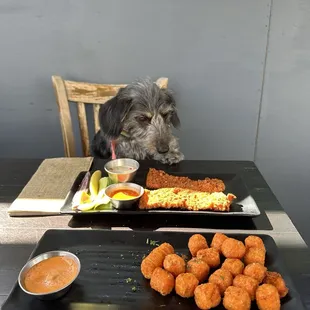 The chicken strips and the sweet potato tots are not consumed by the dog in the photo