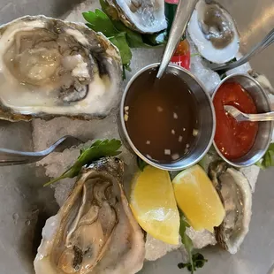 Oyster (half)