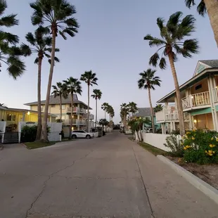 This is the entrance driving in to the rooms. Watch for pedestrians and pets.