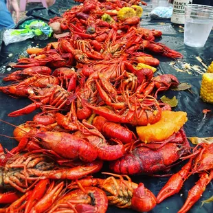 Crawfish