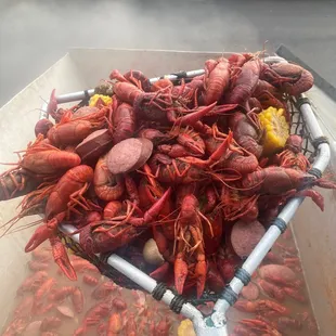 Crawfish