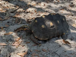 Texas Sealife Center