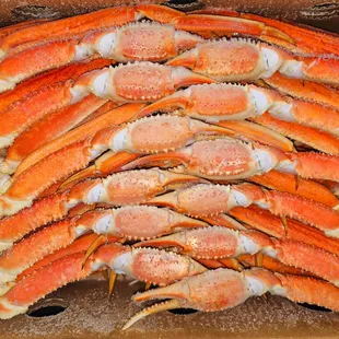 Large Snow Crab are beautiful and delicious!  Enjoy some while they last.