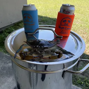 Blue Crab, Beer, and Complimentary Koozies