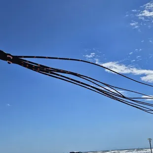 Large kites