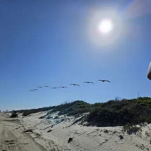 Shore patrol