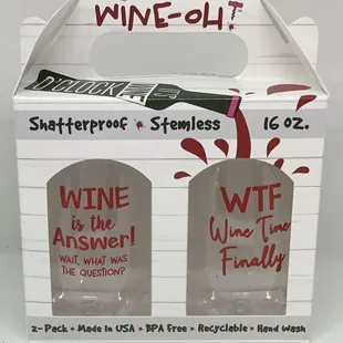 Plastic Wine Glass (set of 2)