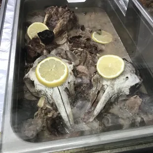 Goat head, a Middle Eastern delicacy but not for me.