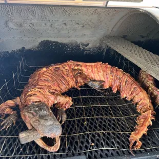 Whole smoked alligator!!