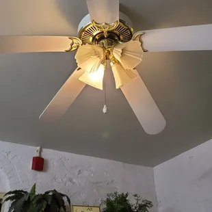 Only one light bulb in the ceiling fan.