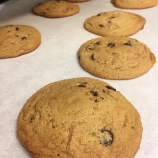 Chocolate chip and White Macadamia Nut Cookies