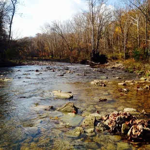 Creek side.