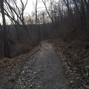 Coming back up was a little harder!