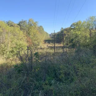 View of cleared land used to install power lines. You can hear the buzz of electricity underneath
