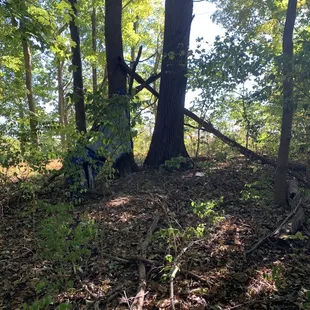 Remnants of someone primitively backwoods camping