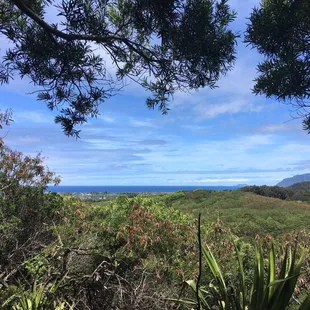 View from picnic table