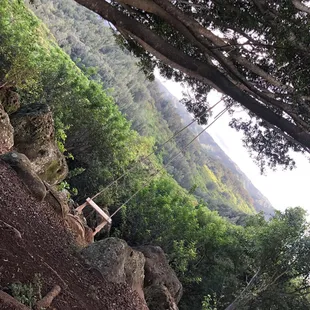 Best spot on the ranch