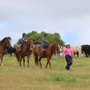 Family keiki ride! Children 6years and under are led by our wranglers