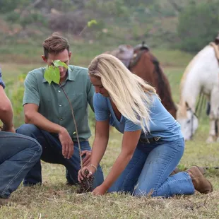 Horseback planting in our legacy forest