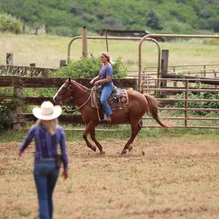 Private horsemanship experience! Catered to the level of the rider
