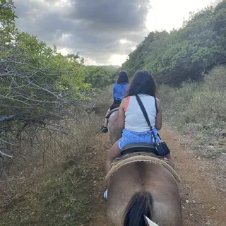 Note This Is a Walking Only Ride