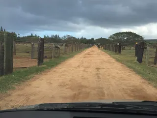 Kawailoa Ranch Company