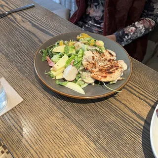 Fall Apple Arugula Salad