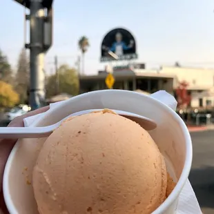 Gunther&apos;s Pumpkin Ice Cream