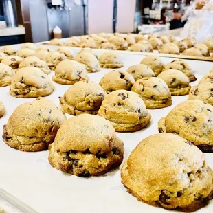 oh my goshhhh these chocolate chip cookies