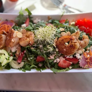 Shrimp Baby Arugula Salad