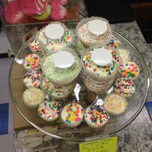 Celebration Cupcakes for your fur baby
