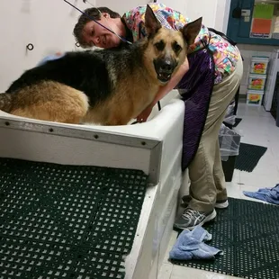 Self-Service dogwash or have one of our groomers do it for you