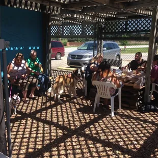 Pups and people alike are welcomed at our Annual May Hamburger Feed Fundraiser