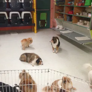 Indoor heated and cooled daycare playareas