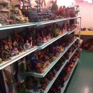 An entire room devoted to aquarium decor