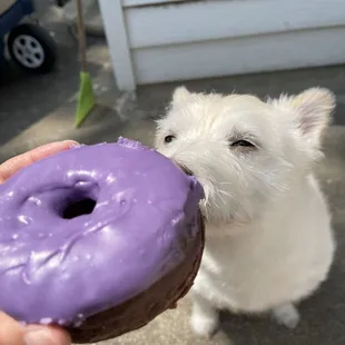 Only available on Saturdays and Sundays!