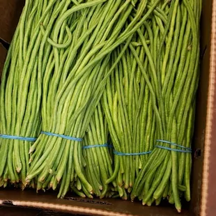 a box of green beans