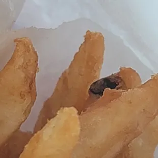 What the Hell is that ???