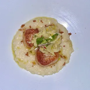 Scallops