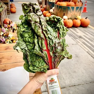 Gus's Community Market
