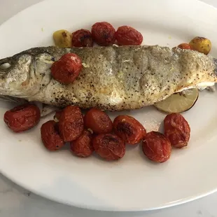 Branzino