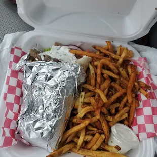 Gyro pita and greek fries