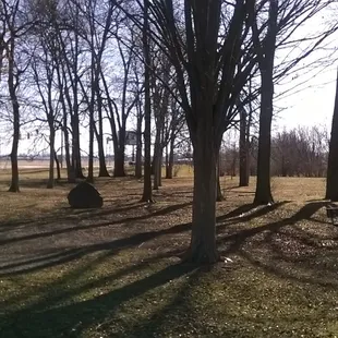 wooded area to relax