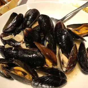 oysters and mussels, oysters, food, shellfish, mussels