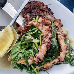 Grilled Octopus- it was served very undercooked :(