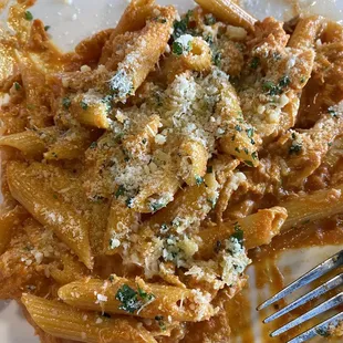 Penne with crab and tomato sauce